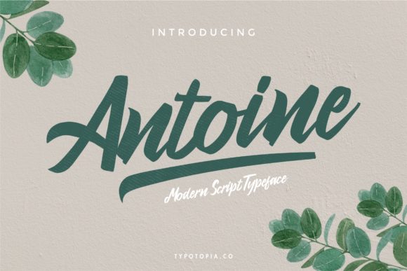 Antoine: The Elegant Script Font for Modern Web Design