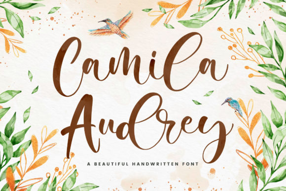 Designing with Camila Audrey: A Modern Script for Web Brands