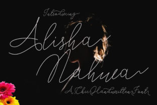 Elevate Web Design with the Alisha Nahwa Typeface