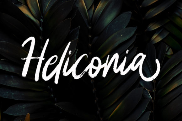 Heliconia Font Review: A Unique Script for Branding