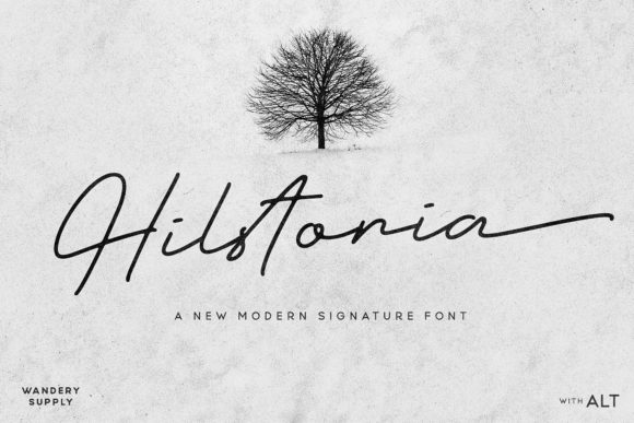 Hilstoria: A Modern Script Typeface for Web Design