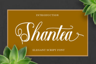 Shantea: The Modern Script Font for Campaign Clarity