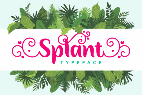 Splant: A Charming Script Font for Small Business Branding