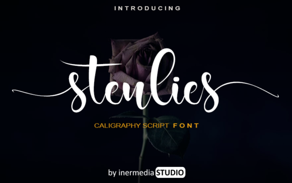Stenlies Font: The Friendly Script for Small Business Branding
